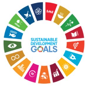 Das Logo der Sustainable Development Goals (SDGs).
